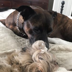 Meet your Posher, Courtney